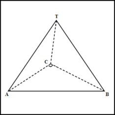 limas segitiga2.png